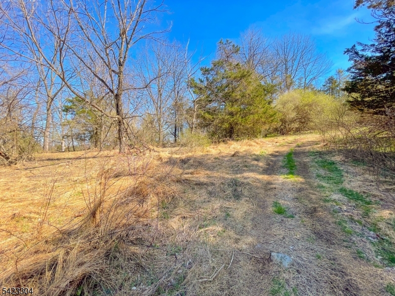 Ervey Rd Property Photo 10