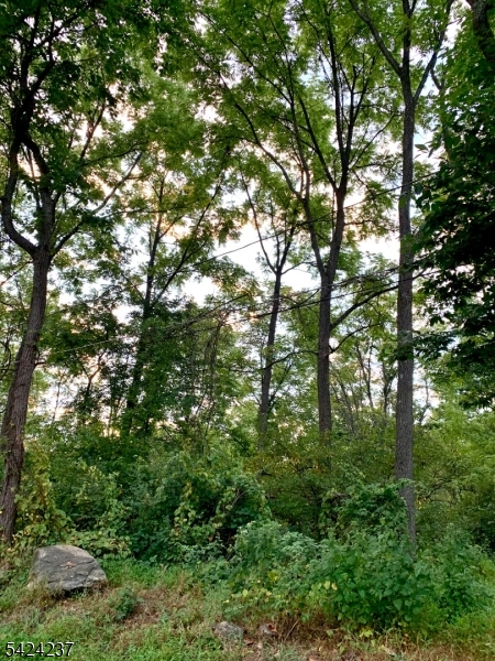 W Valley Brook Rd