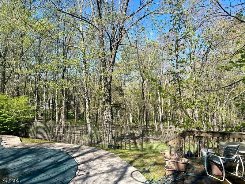 60 Meadowlark Drive Property Photo 4