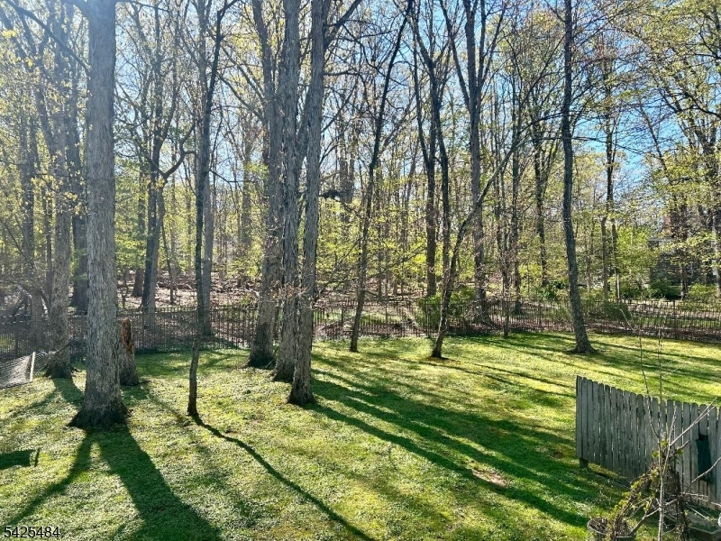 60 Meadowlark Drive Property Photo 6