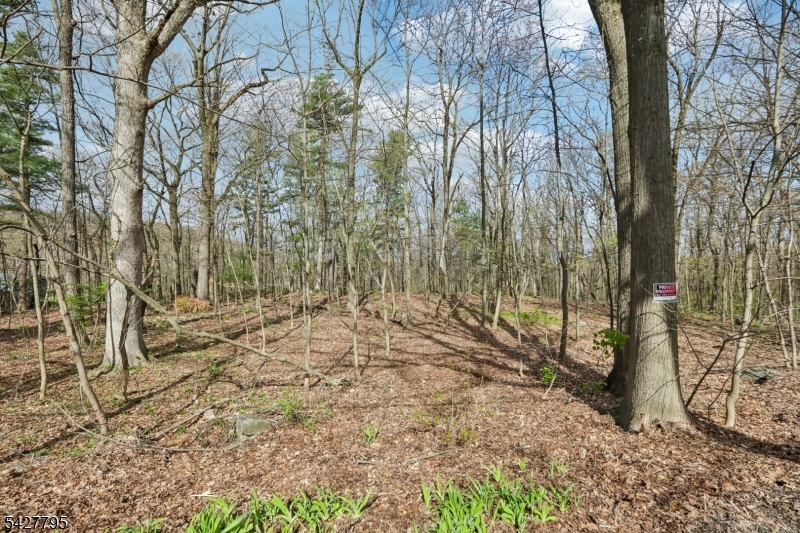 Alamoosook Rd Property Photo 4