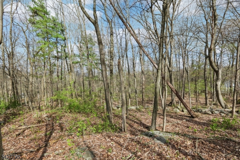 Alamoosook Rd Property Photo 7
