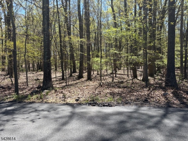 Quenby Mountain Rd Property Photo 1