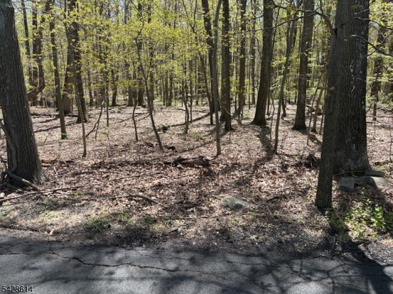 Quenby Mountain Rd Property Photo 2