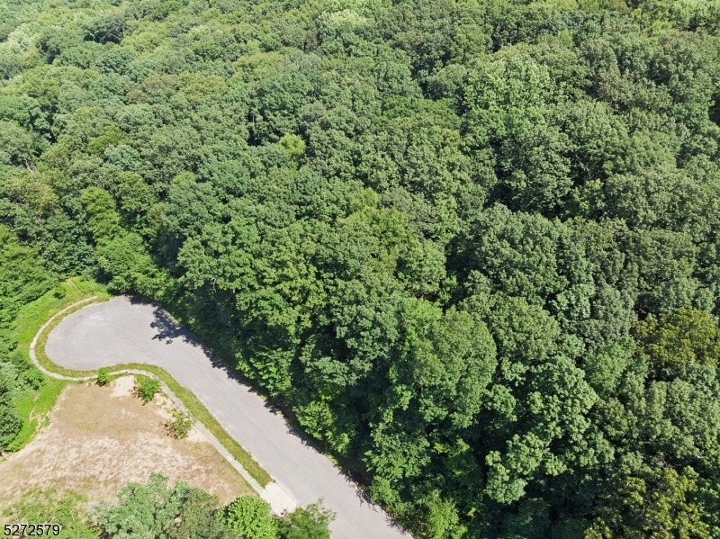Settlers Ridge Ct
