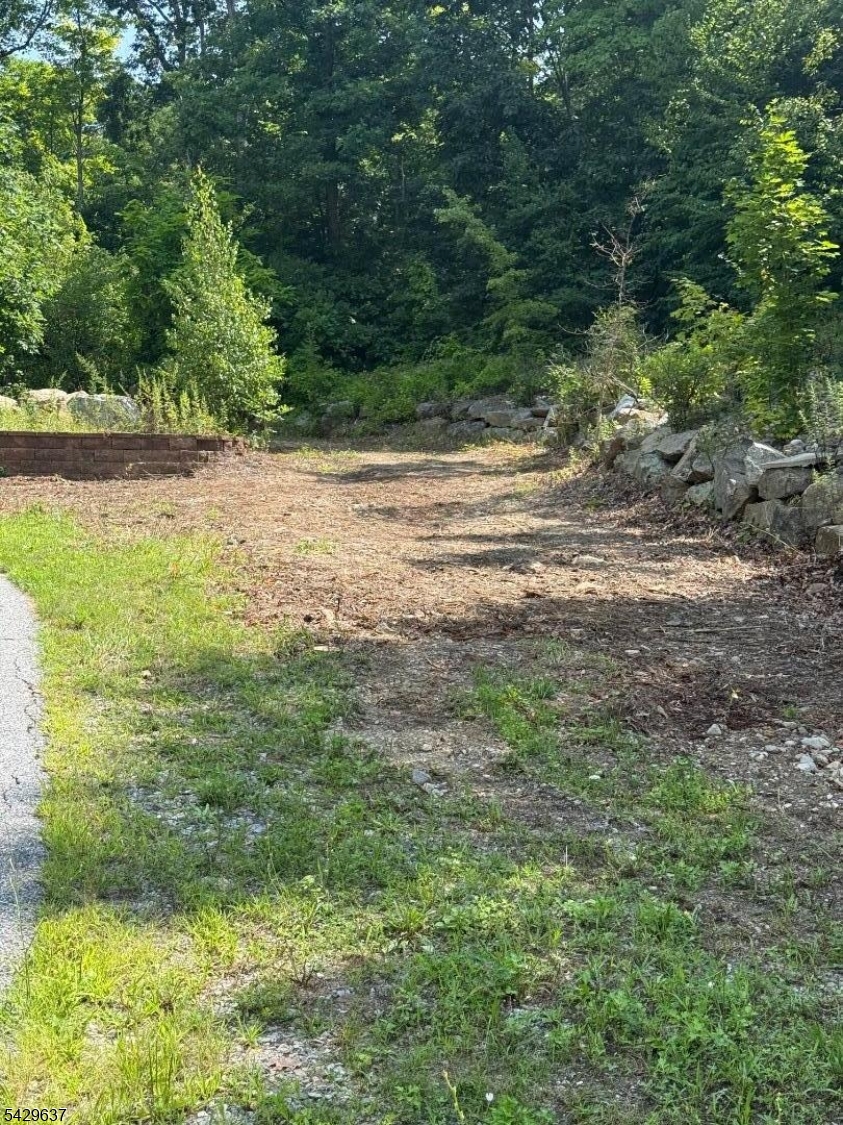 Silver Grove Rd Property Photo 2