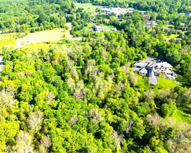 Castle Court Property Photo 9