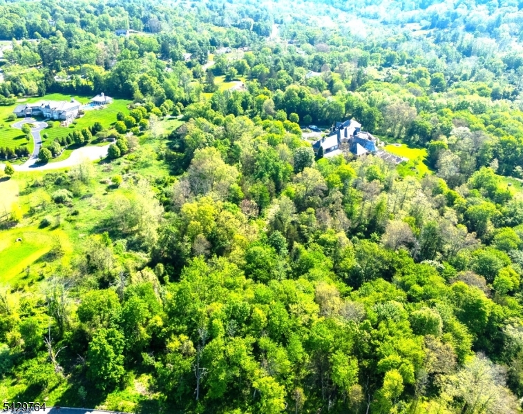 Castle Court Property Photo 11