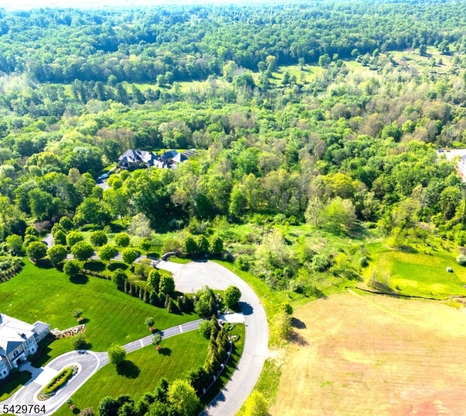 Castle Court Property Photo 12