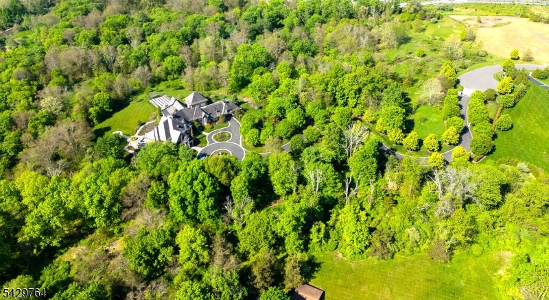 Castle Court Property Photo 13