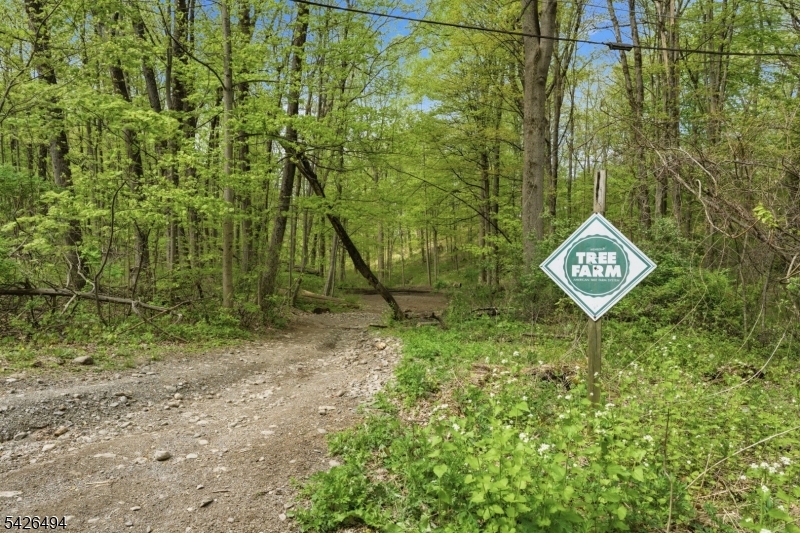 Rt 94 Property Photo 14