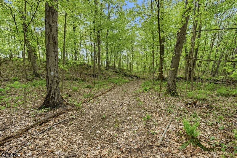 Rt 94 Property Photo 17