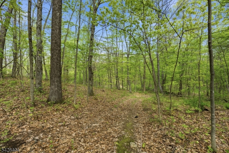 Rt 94 Property Photo 18