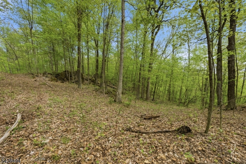 Rt 94 Property Photo 19