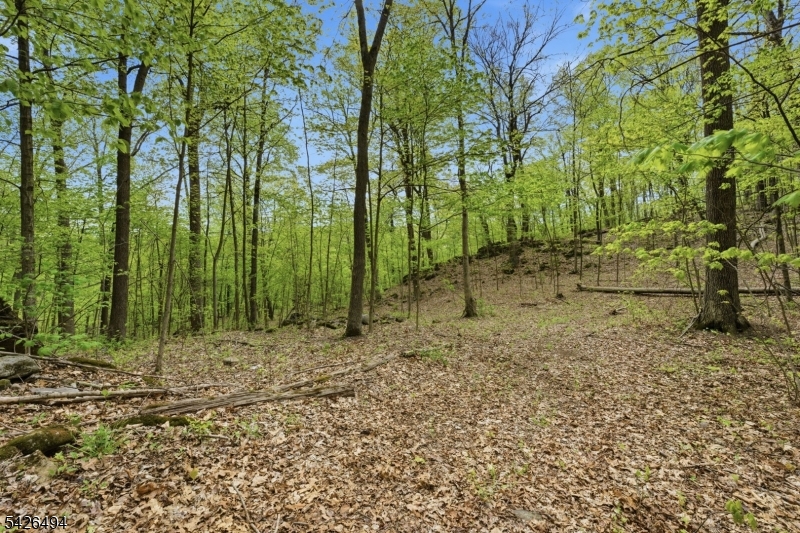 Rt 94 Property Photo 20