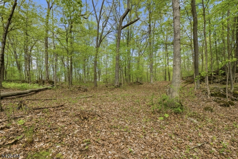 Rt 94 Property Photo 21