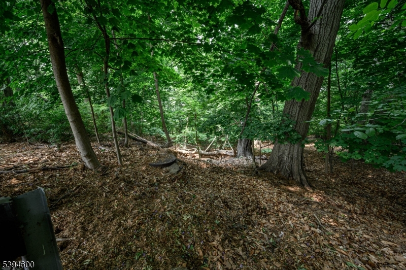 Forest Dr Property Photo 2