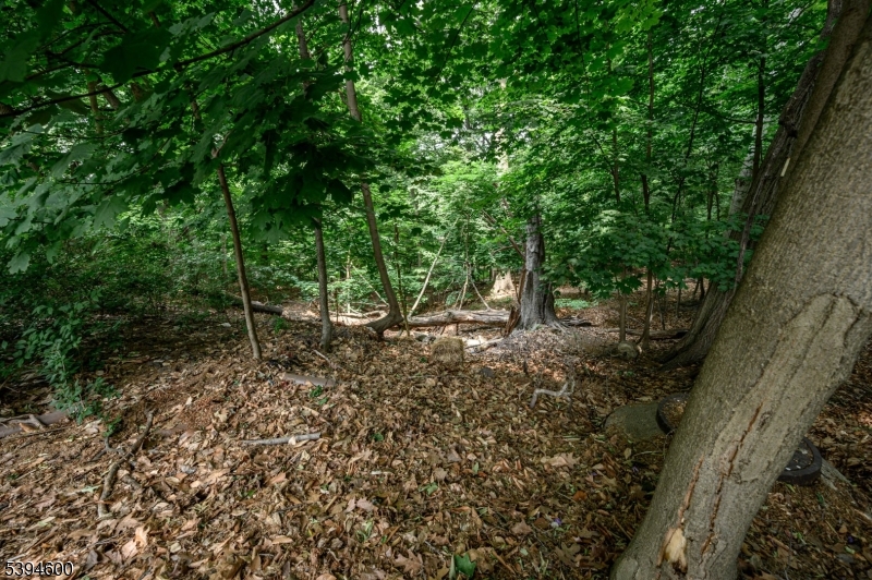 Forest Dr Property Photo 5
