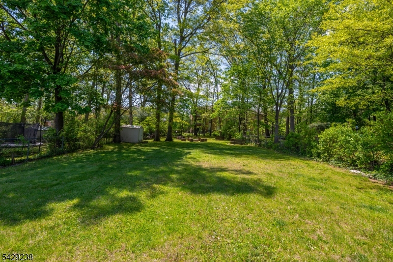 23 Frederick Pl Property Photo 41