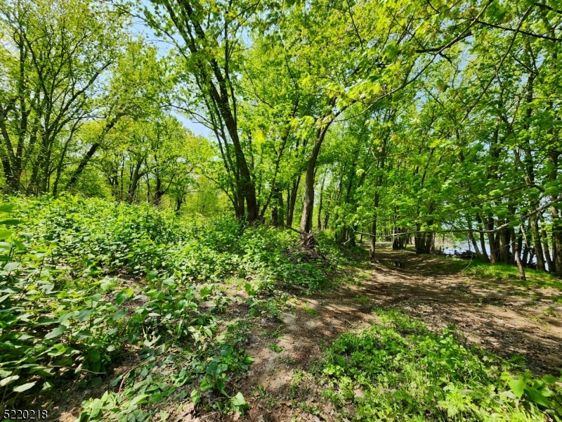River Rd Property Photo 18