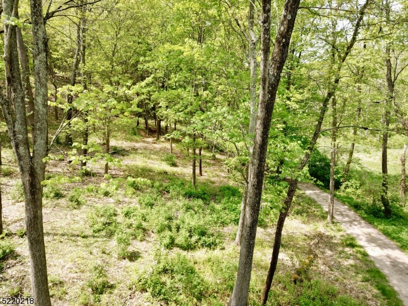 River Rd Property Photo 37