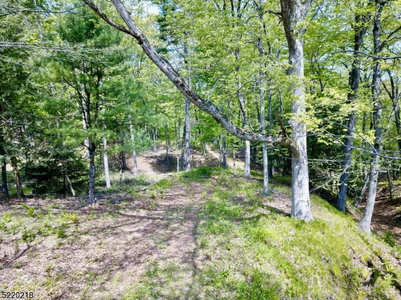 River Rd Property Photo 39