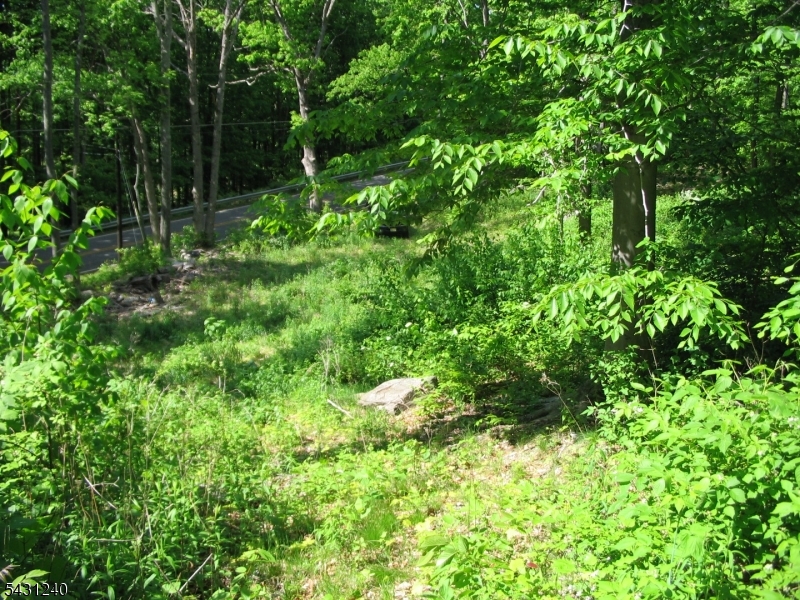 Pidgeon Hill Property Photo 1