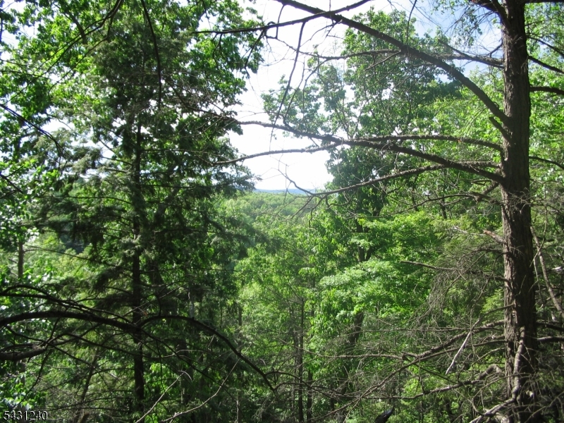 Pidgeon Hill Property Photo 2