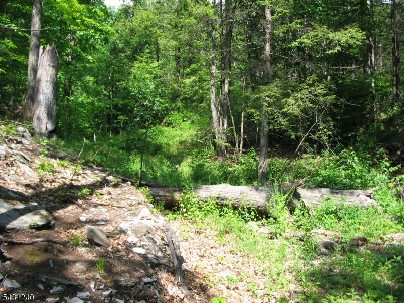 Pidgeon Hill Property Photo 3