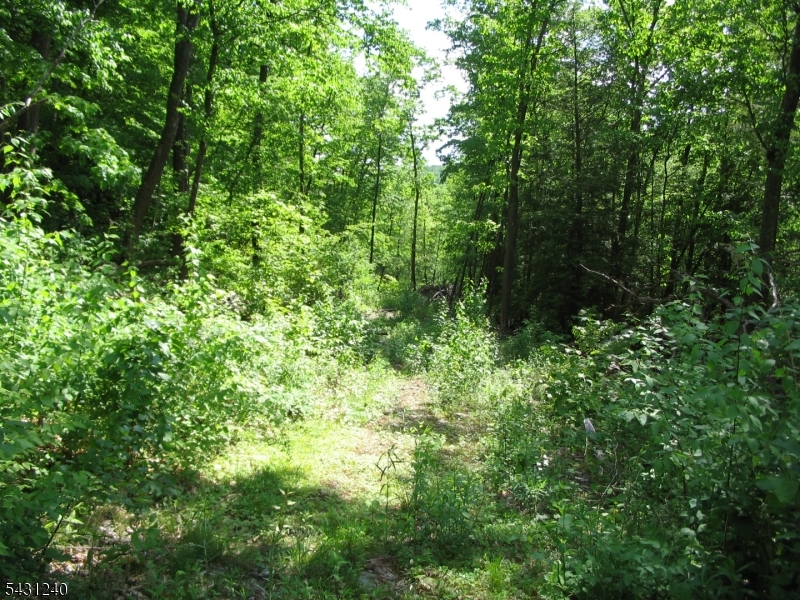 Pidgeon Hill Property Photo 4