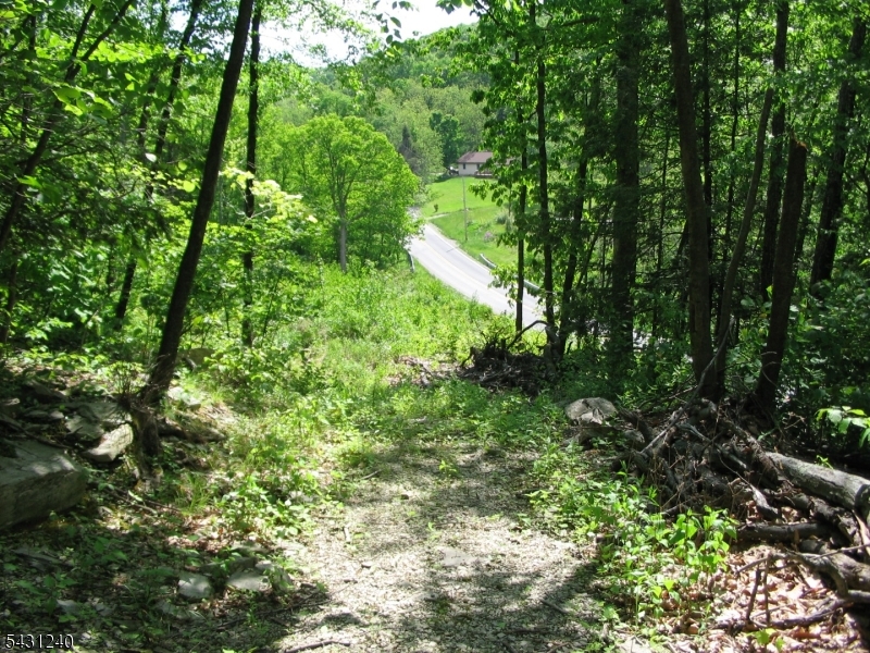 Pidgeon Hill Property Photo 5