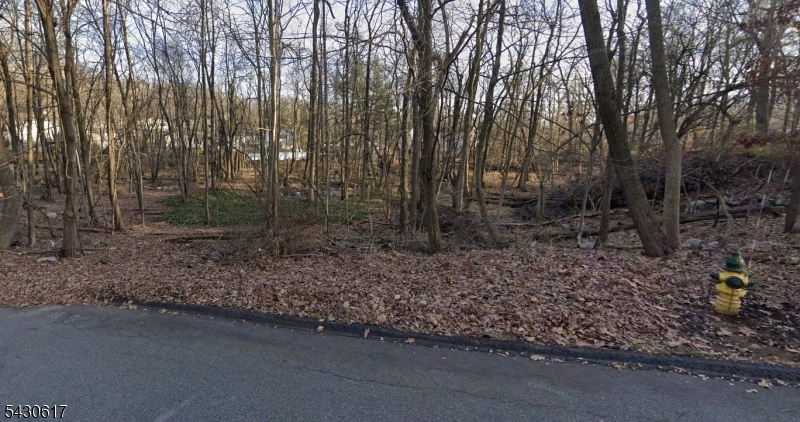 Budd Ave Property Photo 1