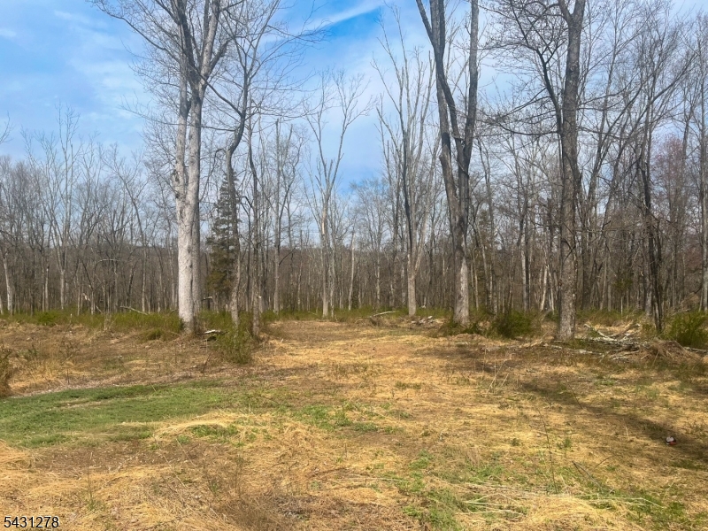 Twin Oaks Ln Property Photo 1