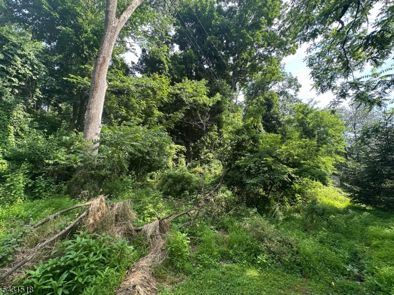 Ash Ln Property Photo 6