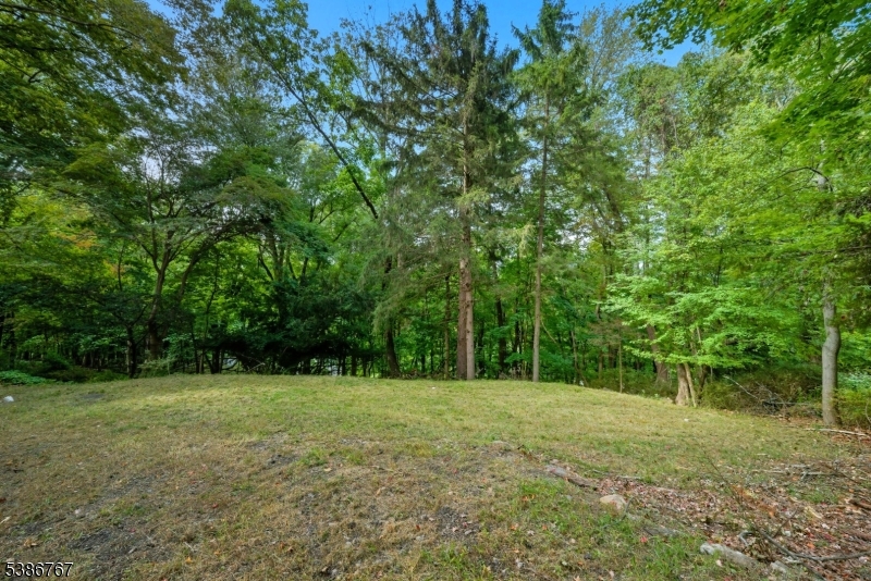 330 Springbrook Trl Property Photo 26
