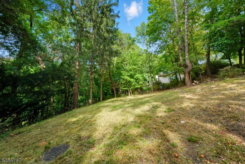 330 Springbrook Trl Property Photo 27