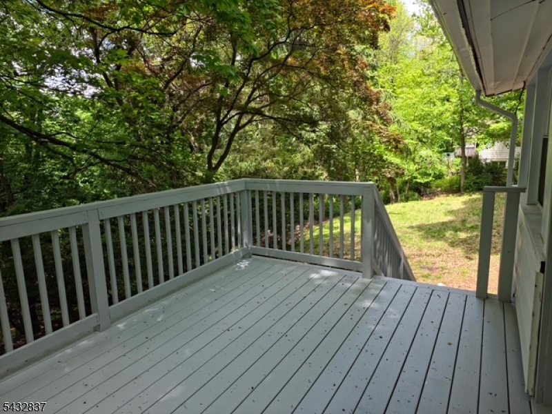 330 Springbrook Trl Property Photo 42