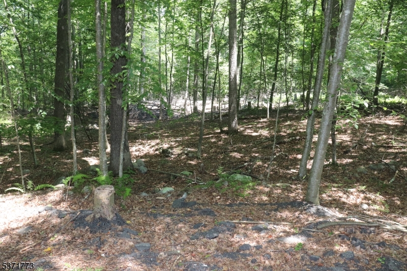 Fawn Run Property Photo 3