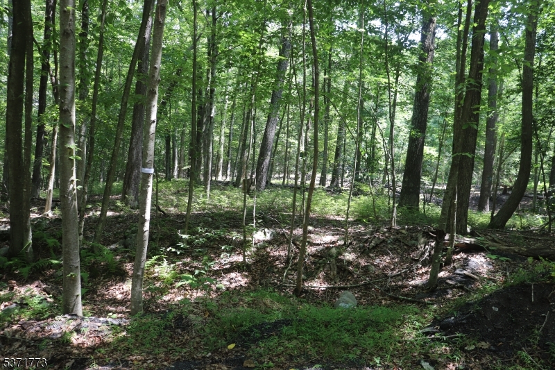 Fawn Run Property Photo 4