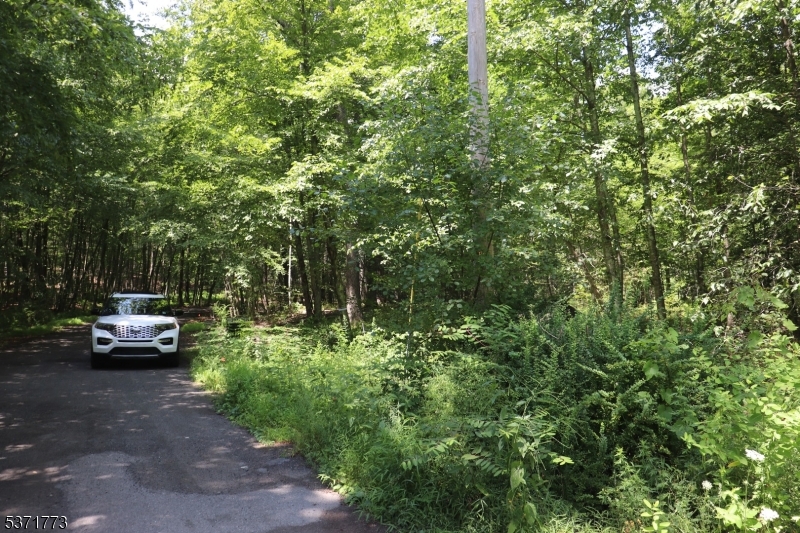Fawn Run Property Photo 6