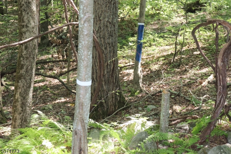 Fawn Run Property Photo 7