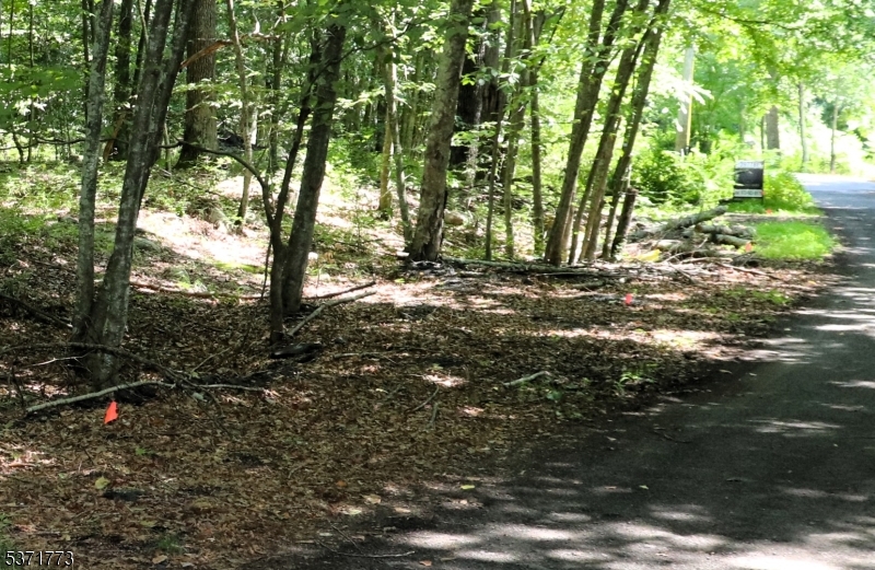 Fawn Run Property Photo 8