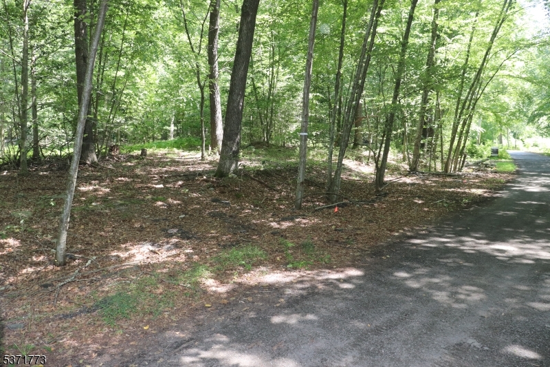 Fawn Run Property Photo 9