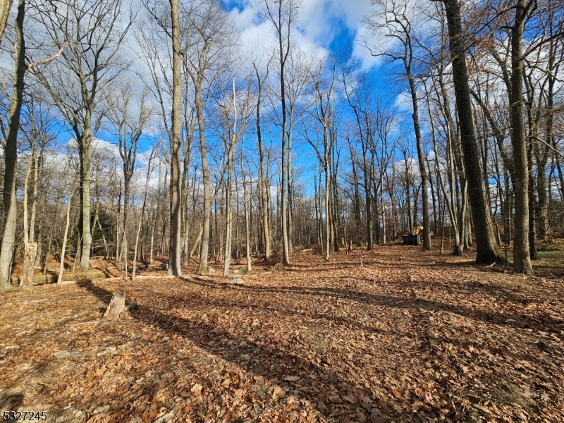 Starlight Dr Property Photo 6