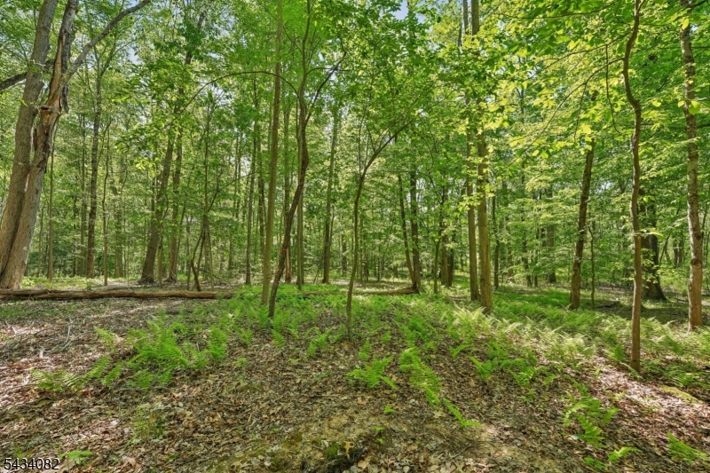 Homestead Rd Property Photo 1