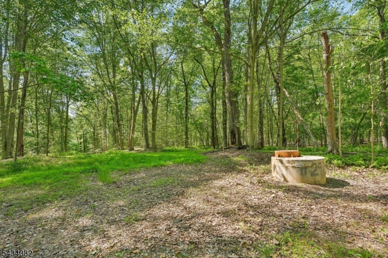 Homestead Rd Property Photo 3
