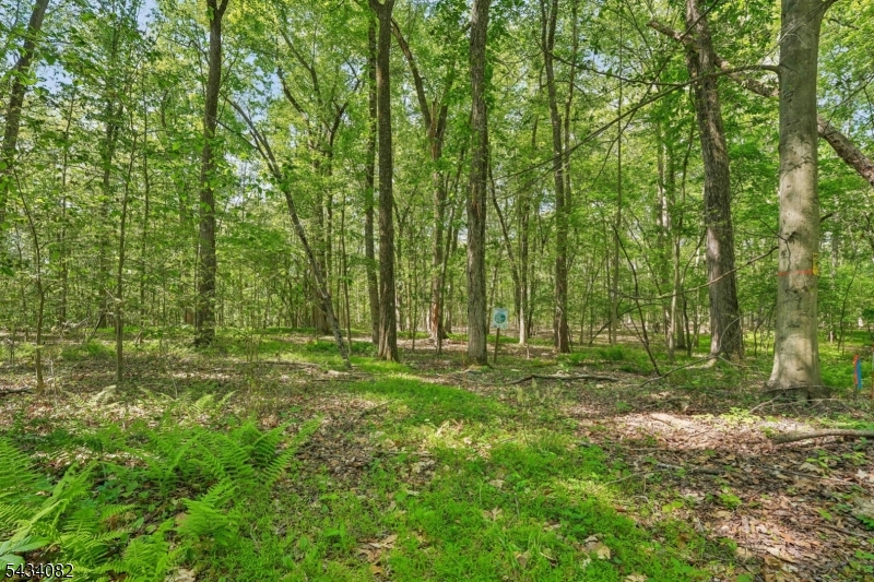 Homestead Rd Property Photo 4