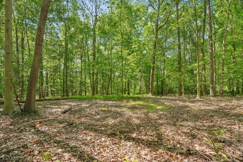 Homestead Rd Property Photo 7