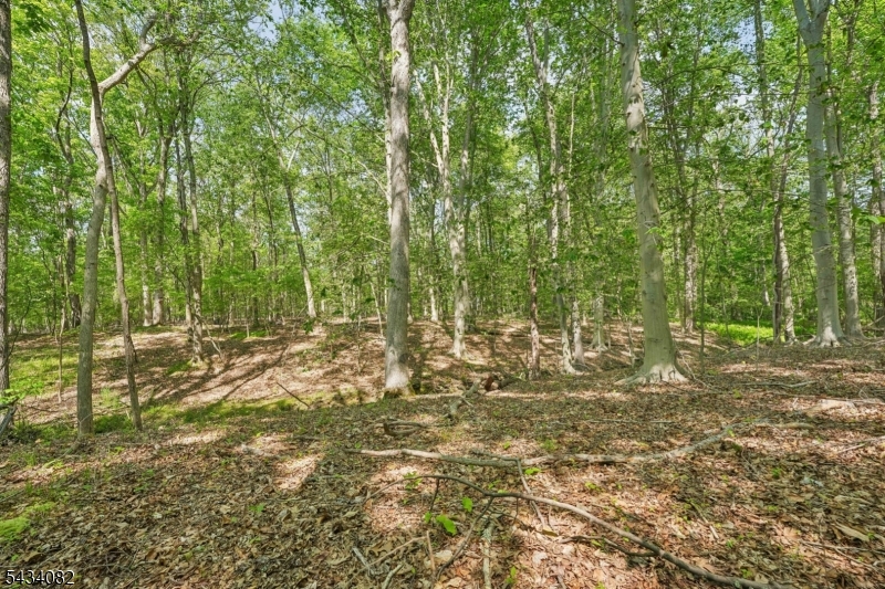 Homestead Rd Property Photo 9