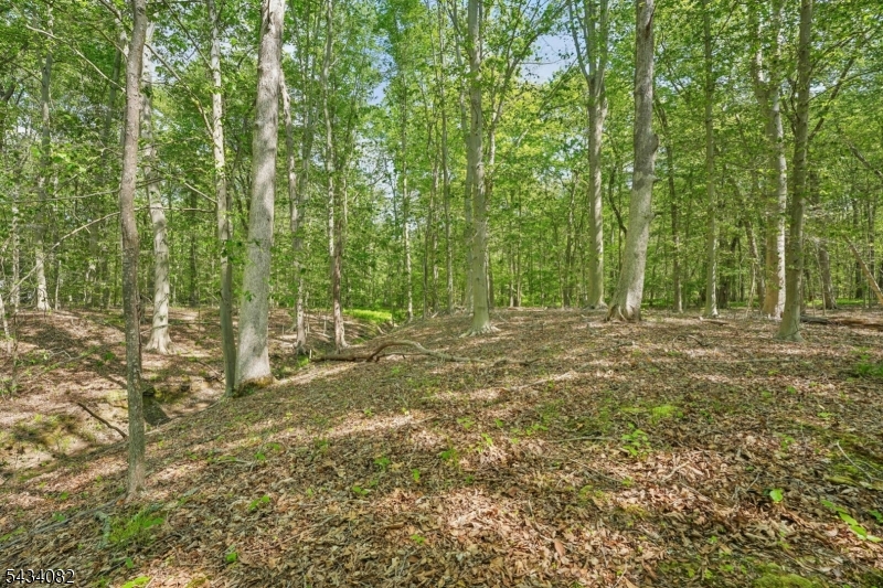 Homestead Rd Property Photo 10